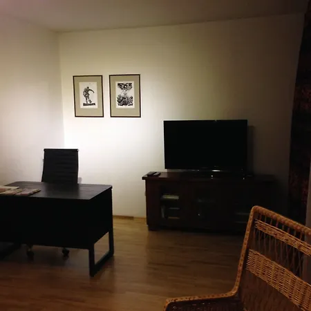 One Bedroom In Pilies Street Appartement